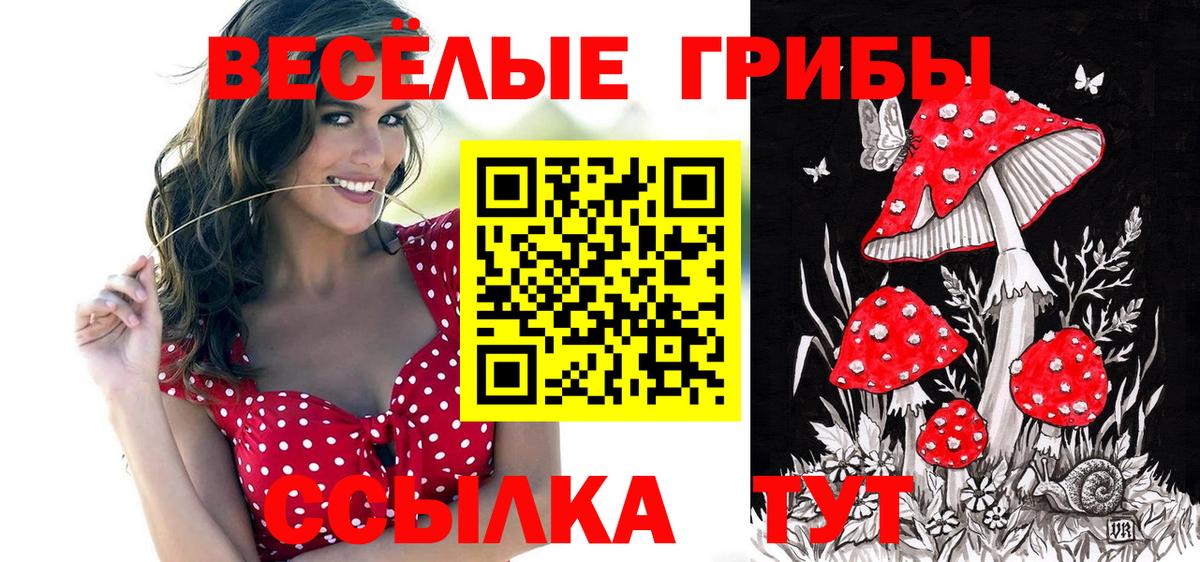 Псилоцибиновые грибы GOLDEN TEACHER Уварово